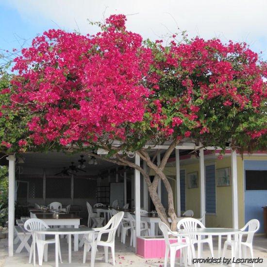 Anegada Reef Hotel The Settlement Nhà hàng bức ảnh