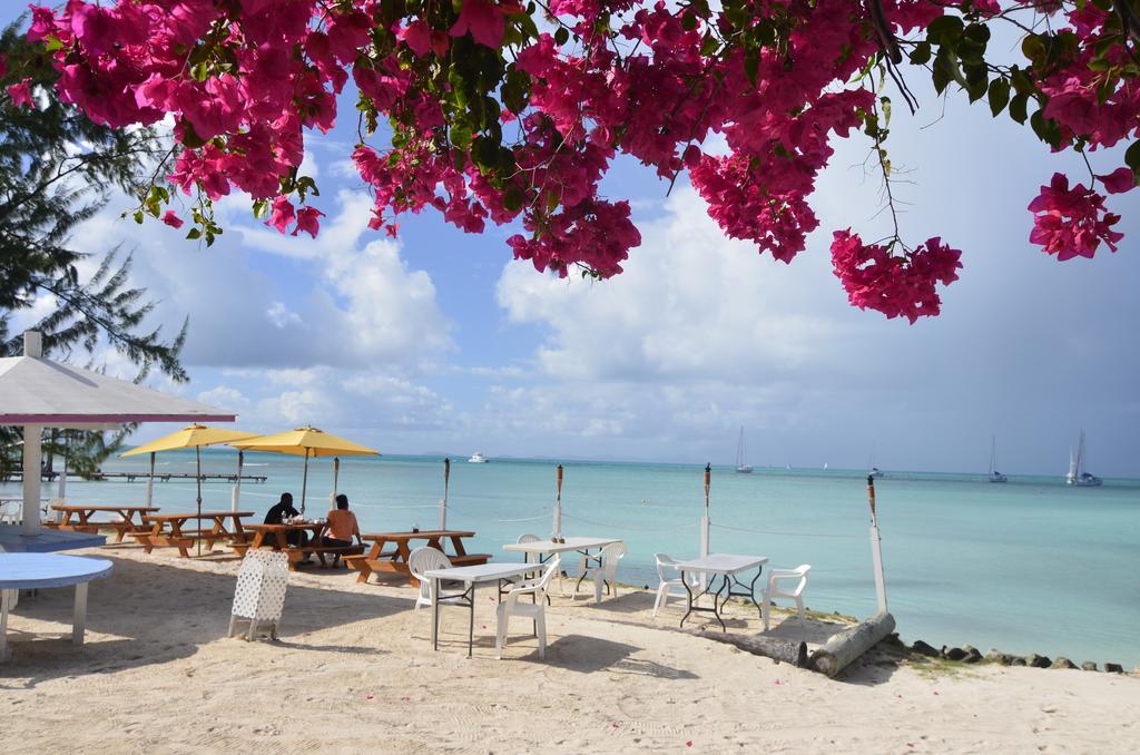 Anegada Reef Hotel The Settlement Ngoại thất bức ảnh