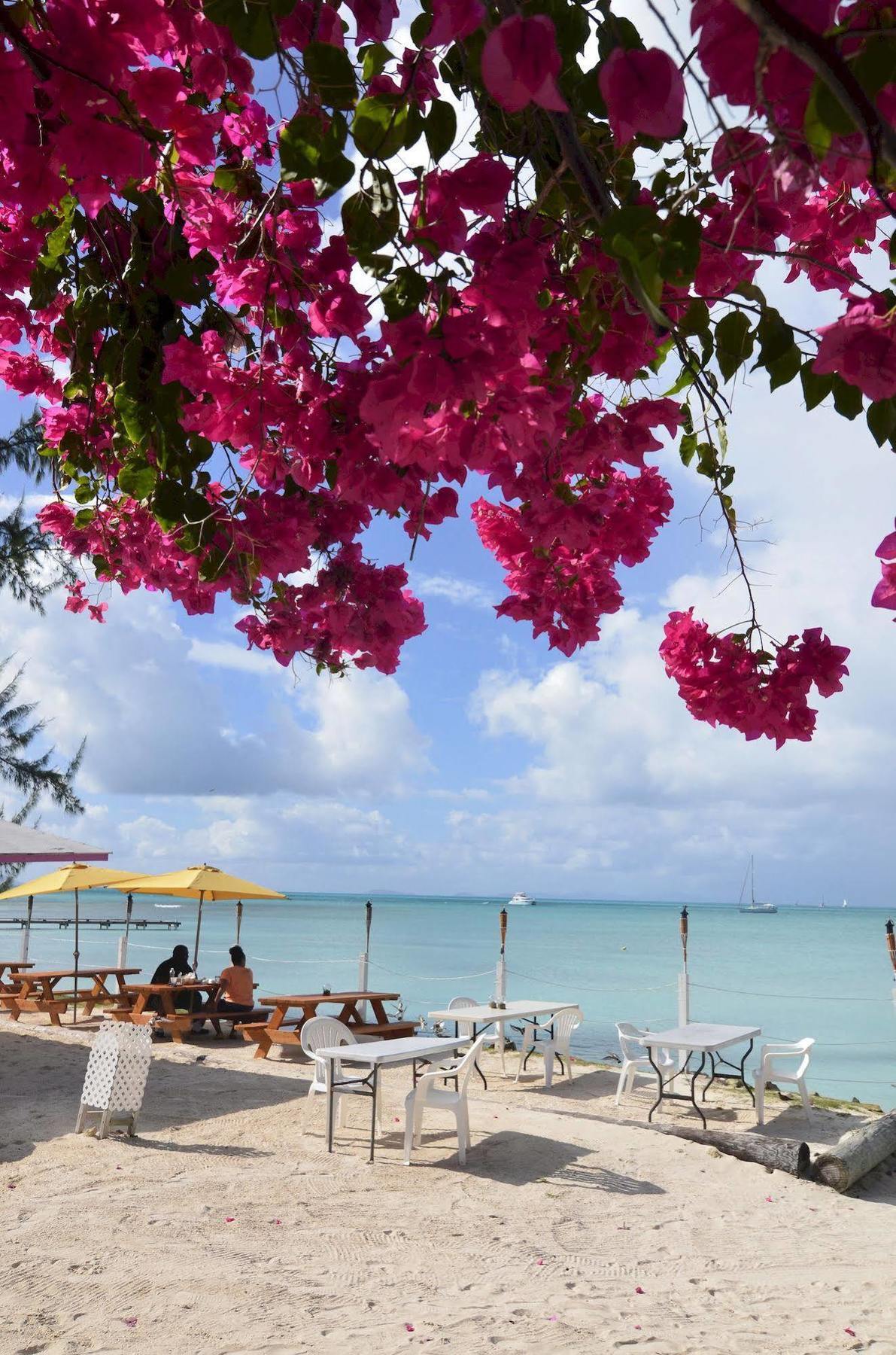 Anegada Reef Hotel The Settlement Ngoại thất bức ảnh